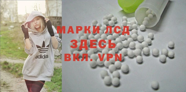 индика Абинск