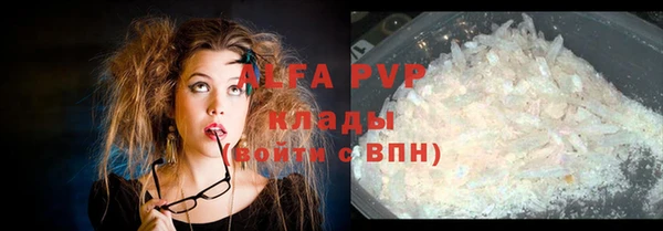индика Абинск