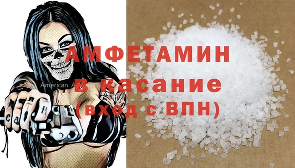 индика Абинск