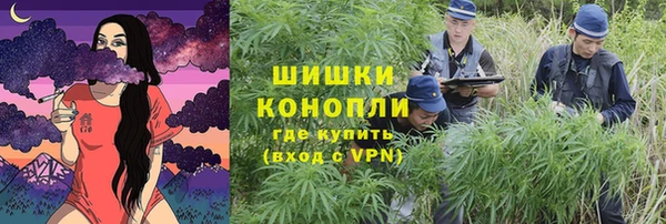 сатива Пересвет