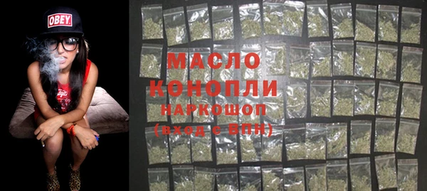 индика Абинск