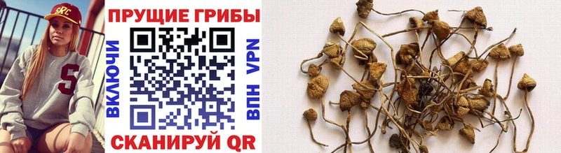 площадка клад  Дрезна  Галлюциногенные грибы GOLDEN TEACHER  OMG  